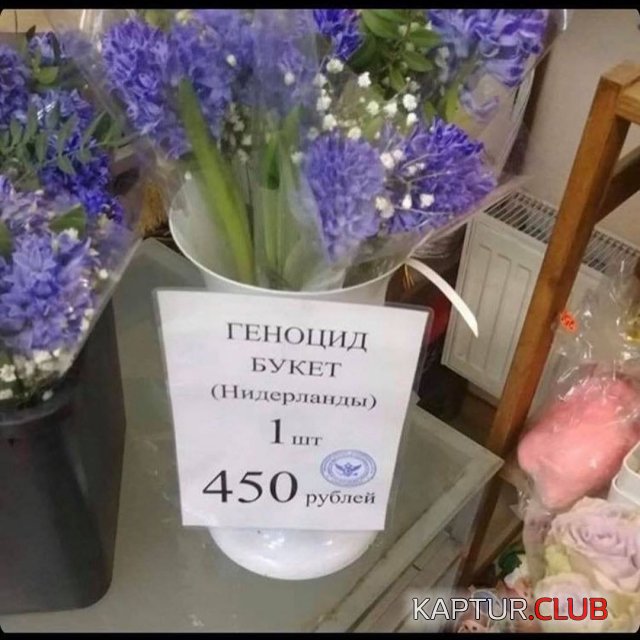 202620_9_trinixy_ru.jpg | Рено Каптур Клуб Россия | Форум KAPTUR.SU