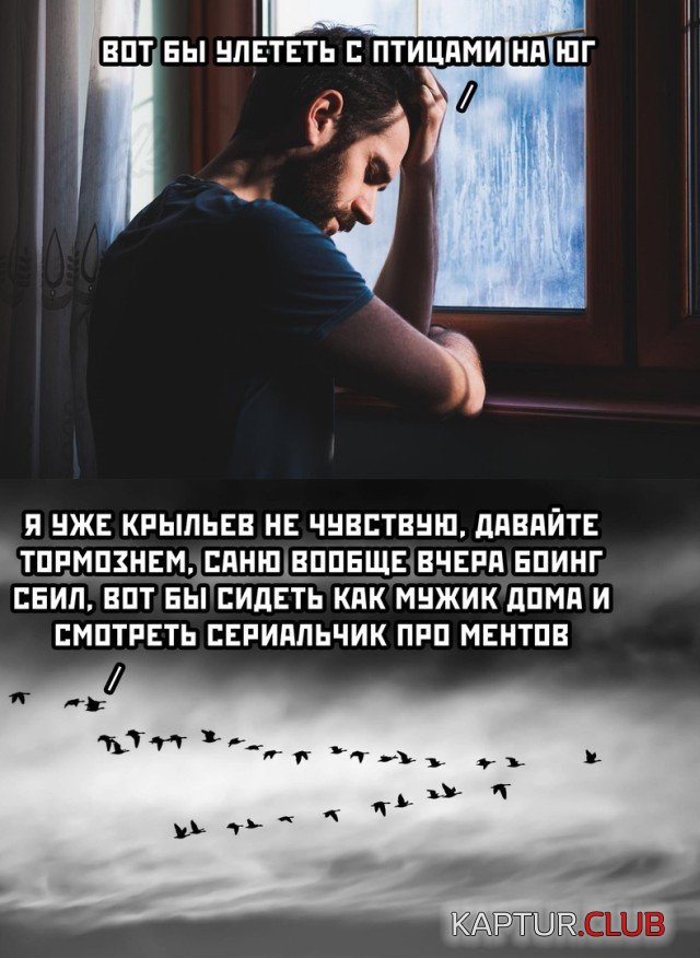 202631_19_trinixy_ru.jpg | Рено Каптур Клуб Россия | Форум KAPTUR.SU