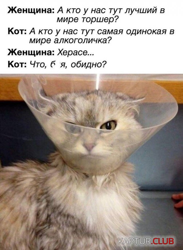 202880_8_trinixy_ru.jpg | Рено Каптур Клуб Россия | Форум KAPTUR.SU