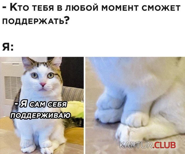 202941_9_trinixy_ru.jpg | Рено Каптур Клуб Россия | Форум KAPTUR.SU
