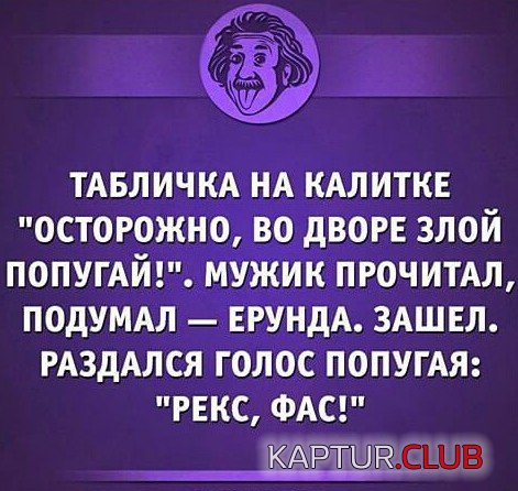 202eae1b7a21f97afb2f9beb6e1.jpg | Рено Каптур Клуб Россия | Форум KAPTUR.SU