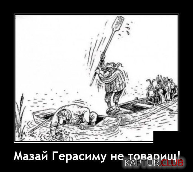 203227_11_trinixy_ru.jpg | Рено Каптур Клуб Россия | Форум KAPTUR.SU