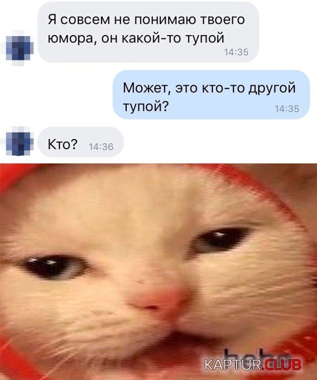 203365_11_trinixy_ru.jpg | Рено Каптур Клуб Россия | Форум KAPTUR.SU