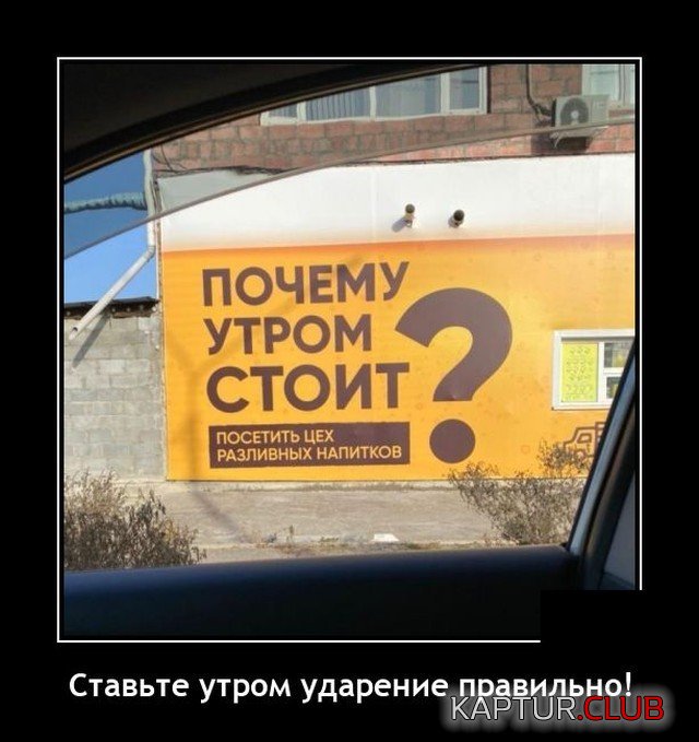203506_9_trinixy_ru.jpg | Рено Каптур Клуб Россия | Форум KAPTUR.SU