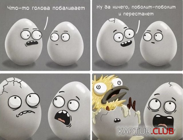 203634_9_trinixy_ru.jpg | Рено Каптур Клуб Россия | Форум KAPTUR.SU