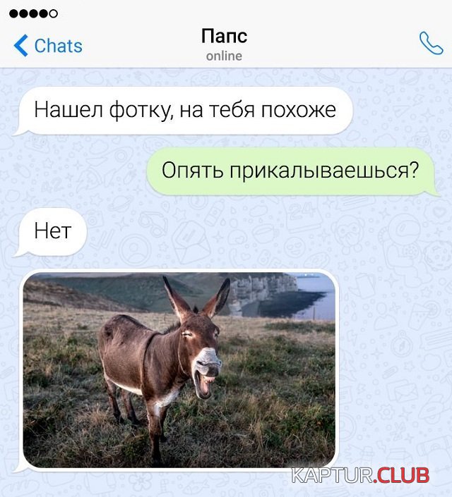 203635_15_trinixy_ru.jpg | Рено Каптур Клуб Россия | Форум KAPTUR.SU