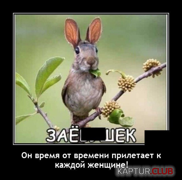 203719_20_1605194351_trinixy_ru.jpg | Рено Каптур Клуб Россия | Форум KAPTUR.SU
