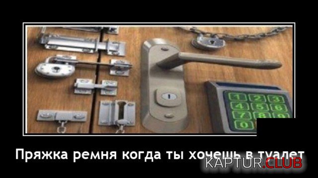 203719_3_trinixy_ru.jpg | Рено Каптур Клуб Россия | Форум KAPTUR.SU