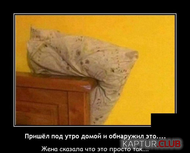 203719_8_trinixy_ru.jpg | Рено Каптур Клуб Россия | Форум KAPTUR.SU
