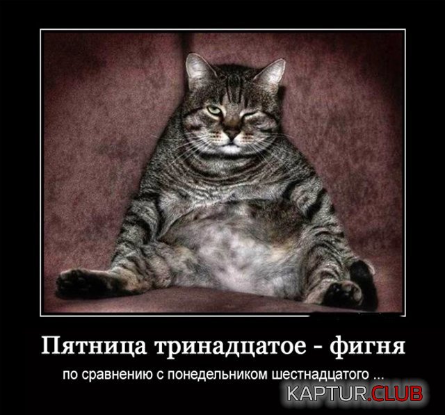 203753_11_trinixy_ru.jpg | Рено Каптур Клуб Россия | Форум KAPTUR.SU