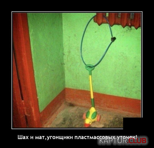 203795_4_trinixy_ru.jpg | Рено Каптур Клуб Россия | Форум KAPTUR.SU