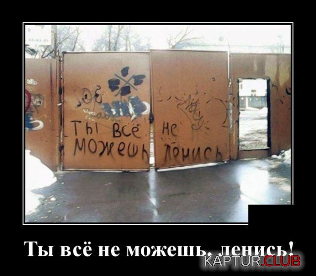 203944_1_trinixy_ru.jpg | Рено Каптур Клуб Россия | Форум KAPTUR.SU