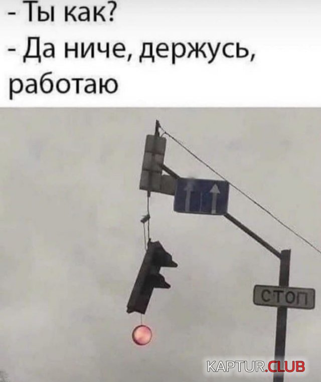 204152_6_trinixy_ru.jpg | Рено Каптур Клуб Россия | Форум KAPTUR.SU