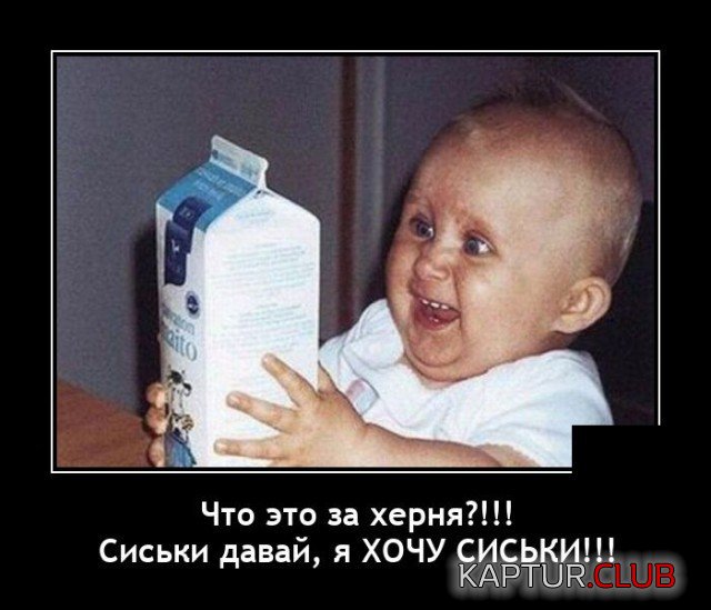 204161_5_trinixy_ru.jpg | Рено Каптур Клуб Россия | Форум KAPTUR.SU