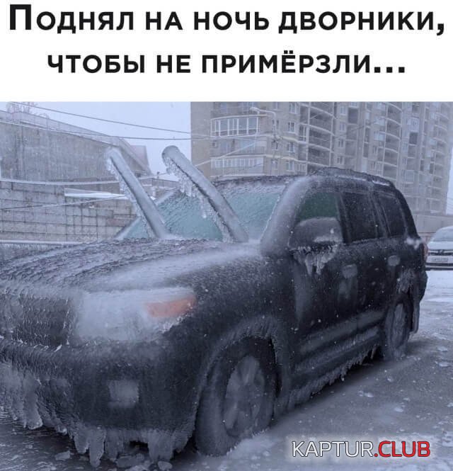 204166_8_trinixy_ru.jpg | Рено Каптур Клуб Россия | Форум KAPTUR.SU