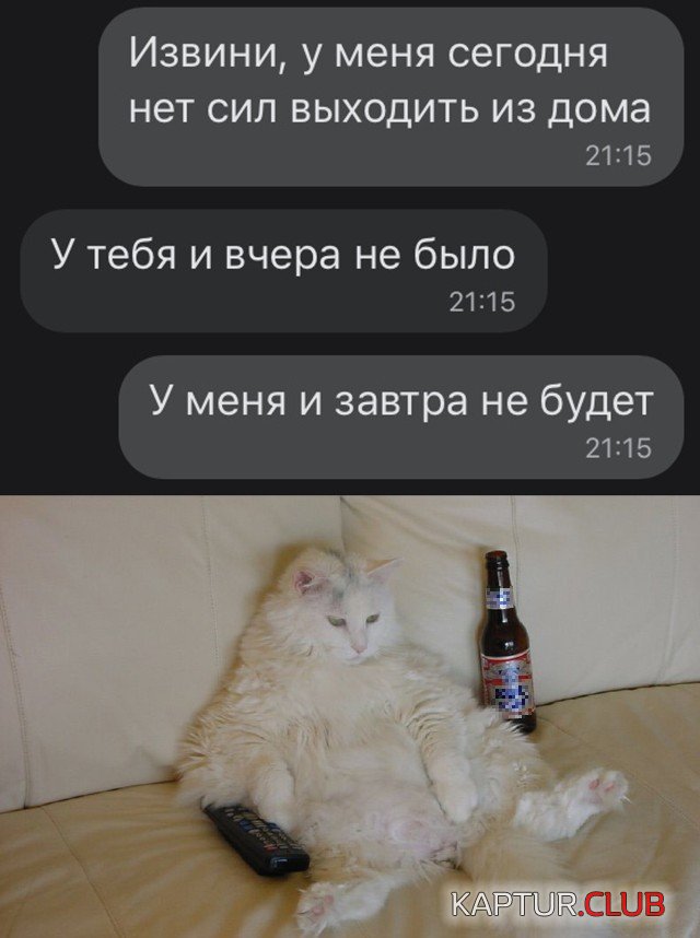 204220_15_trinixy_ru.jpg | Рено Каптур Клуб Россия | Форум KAPTUR.SU