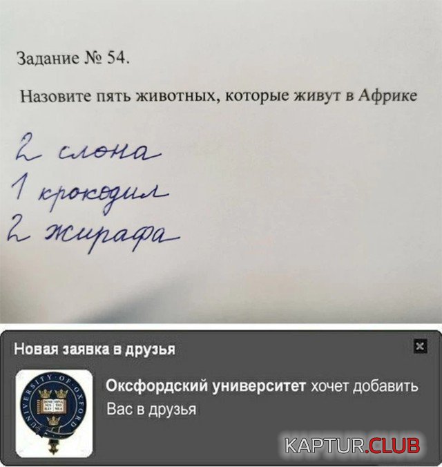 204289_1_trinixy_ru.jpg | Рено Каптур Клуб Россия | Форум KAPTUR.SU