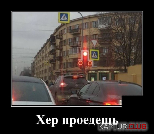 204538_7_trinixy_ru.jpg | Рено Каптур Клуб Россия | Форум KAPTUR.SU