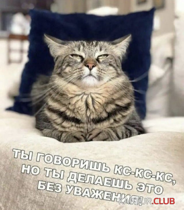 204546_9_trinixy_ru.jpg | Рено Каптур Клуб Россия | Форум KAPTUR.SU