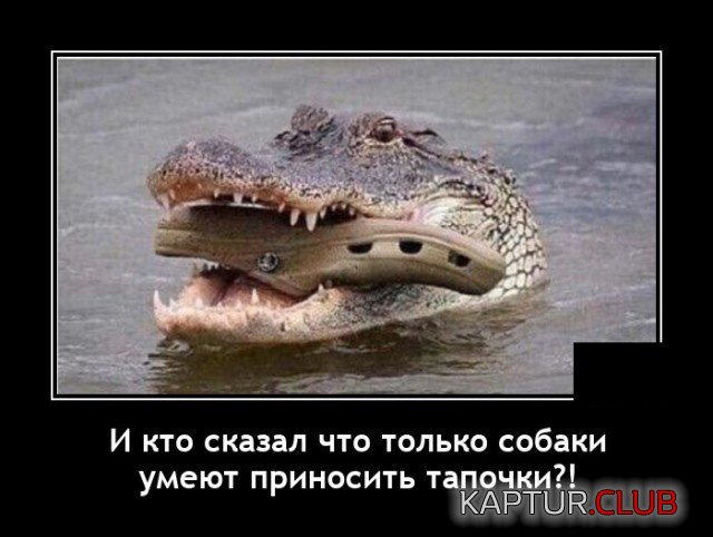 204614_3_trinixy_ru.jpg | Рено Каптур Клуб Россия | Форум KAPTUR.SU