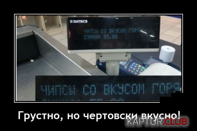 204821_3_trinixy_ru.jpg | Рено Каптур Клуб Россия | Форум KAPTUR.SU