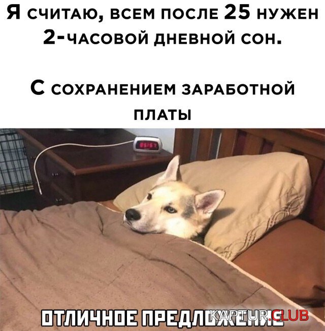 204827_2_trinixy_ru.jpg | Рено Каптур Клуб Россия | Форум KAPTUR.SU