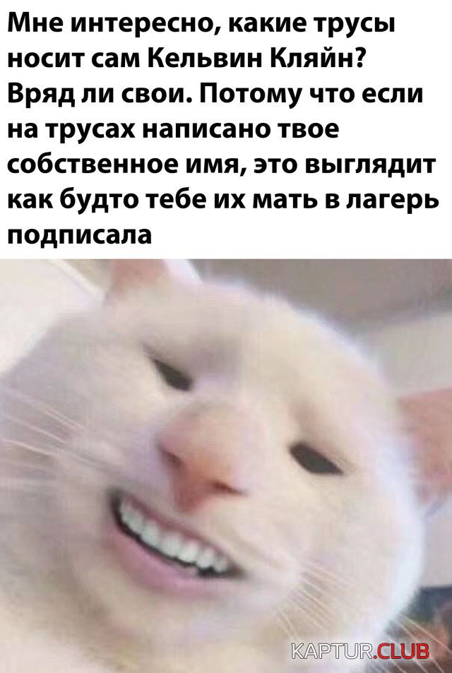 204879_25_trinixy_ru.jpg | Рено Каптур Клуб Россия | Форум KAPTUR.SU