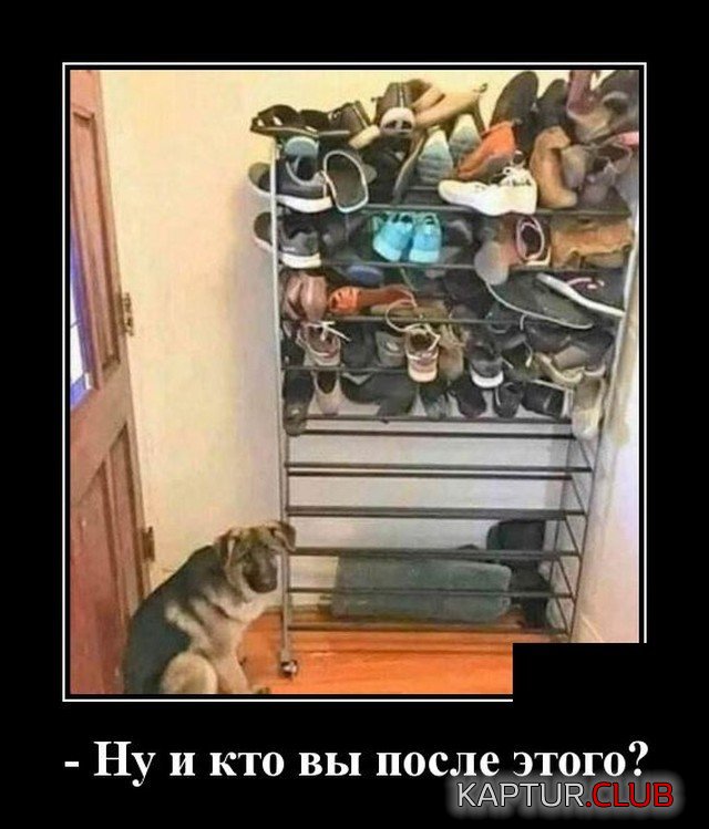 204906_2_trinixy_ru.jpg | Рено Каптур Клуб Россия | Форум KAPTUR.SU