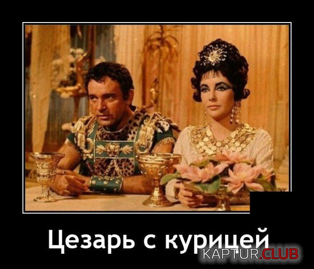 204986_13_trinixy_ru.jpg | Рено Каптур Клуб Россия | Форум KAPTUR.SU