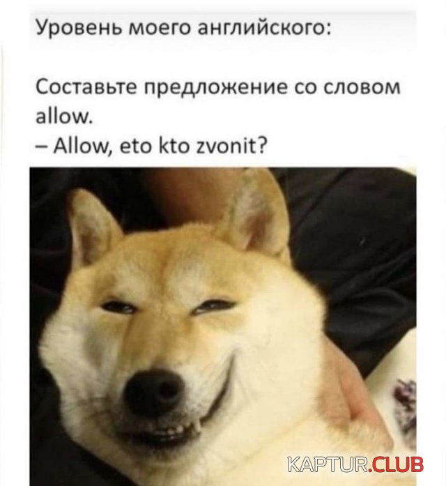204987_9_trinixy_ru.jpg | Рено Каптур Клуб Россия | Форум KAPTUR.SU