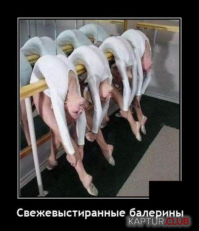 205049_14_trinixy_ru.jpg | Рено Каптур Клуб Россия | Форум KAPTUR.SU
