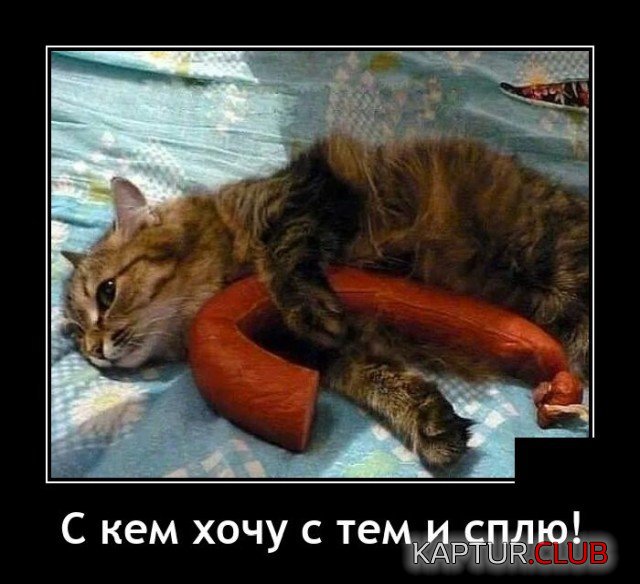 205356_15_trinixy_ru.jpg | Рено Каптур Клуб Россия | Форум KAPTUR.SU