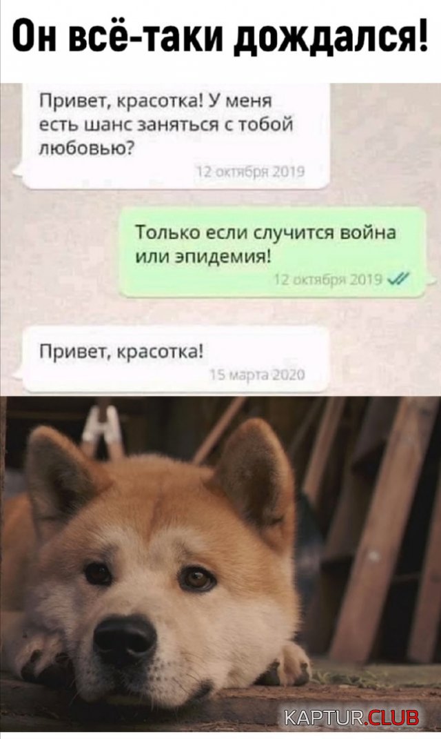 205397_8_trinixy_ru.jpg | Рено Каптур Клуб Россия | Форум KAPTUR.SU