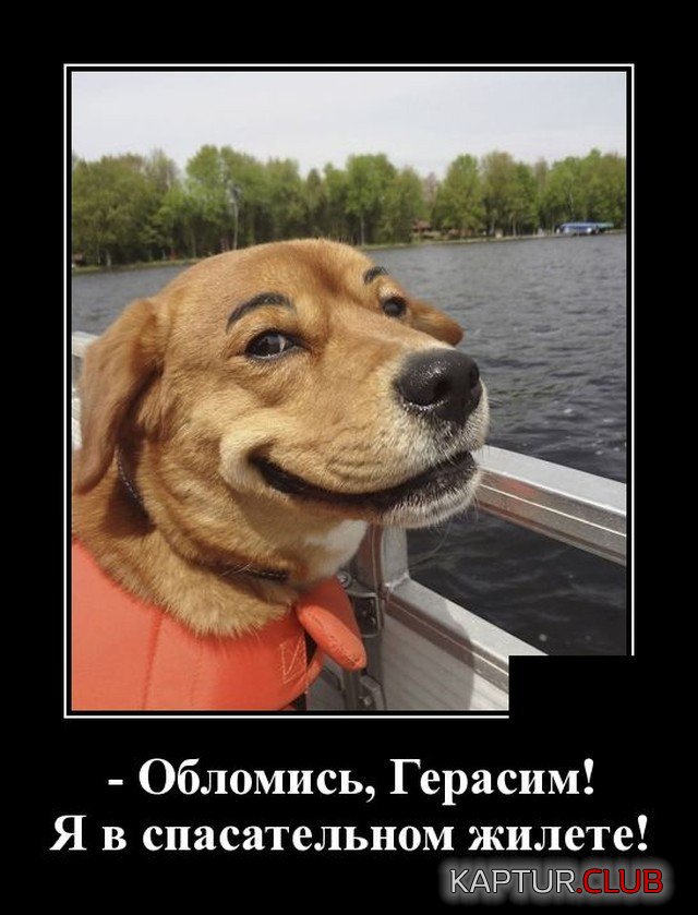 205416_13_trinixy_ru.jpg | Рено Каптур Клуб Россия | Форум KAPTUR.SU