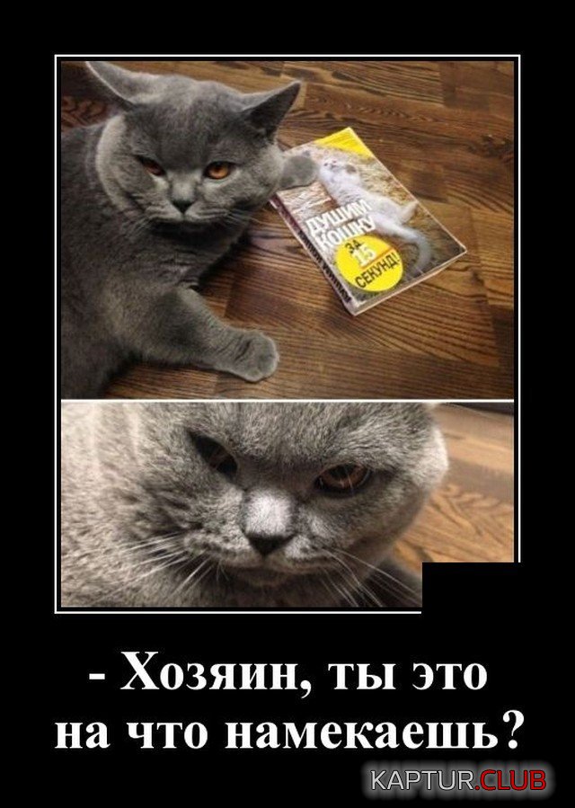 205547_18_trinixy_ru.jpg | Рено Каптур Клуб Россия | Форум KAPTUR.SU
