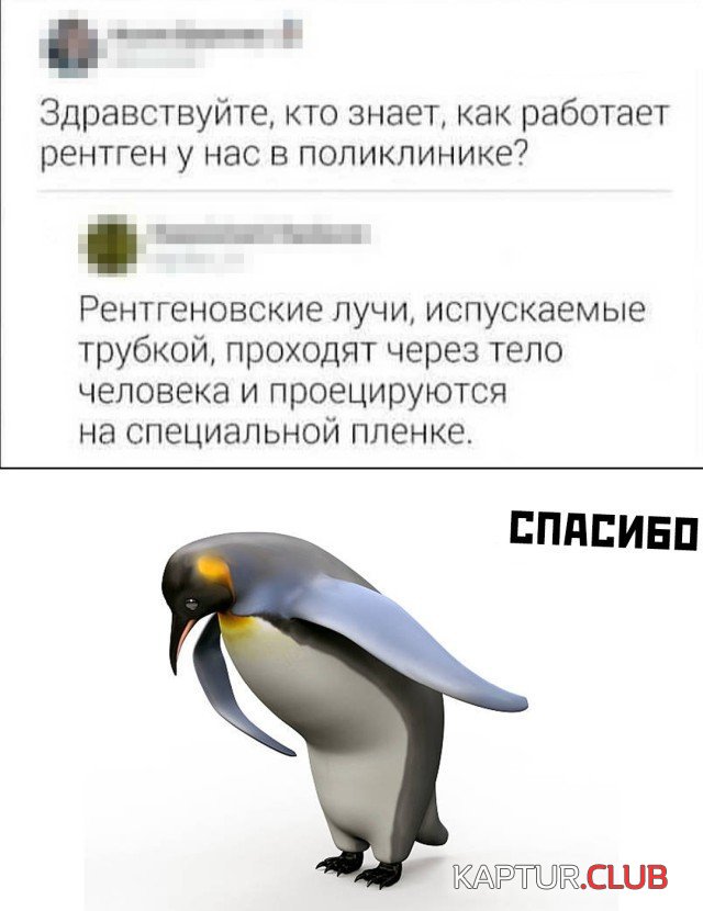 205780_21_trinixy_ru.jpg | Рено Каптур Клуб Россия | Форум KAPTUR.SU