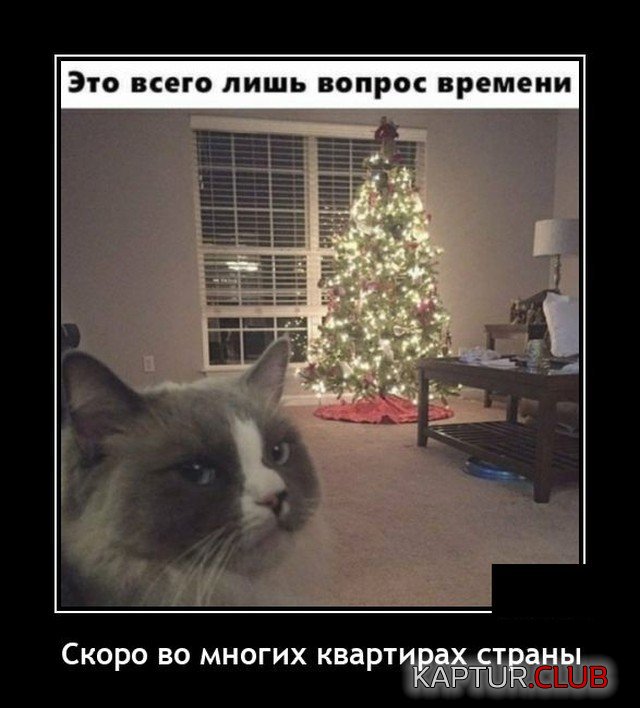 205853_3_trinixy_ru.jpg | Рено Каптур Клуб Россия | Форум KAPTUR.SU