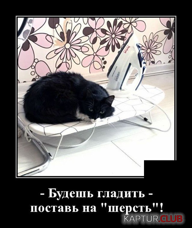 205921_20_trinixy_ru.jpg | Рено Каптур Клуб Россия | Форум KAPTUR.SU