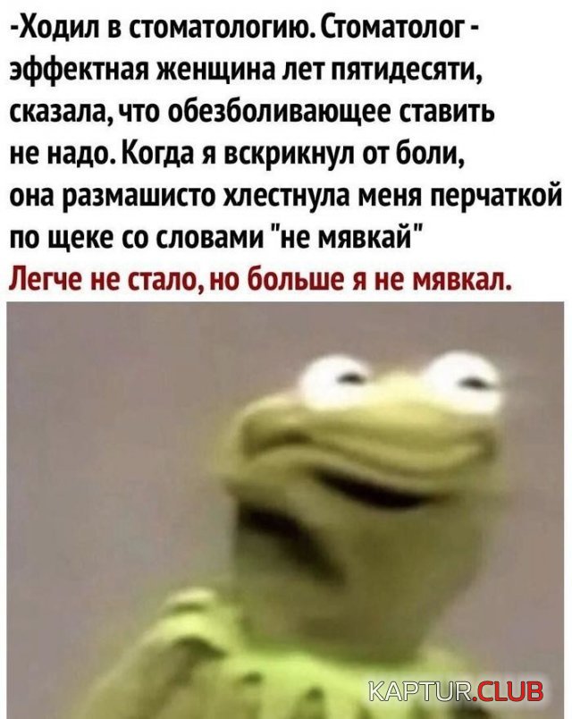 206079_7_trinixy_ru.jpg | Рено Каптур Клуб Россия | Форум KAPTUR.SU