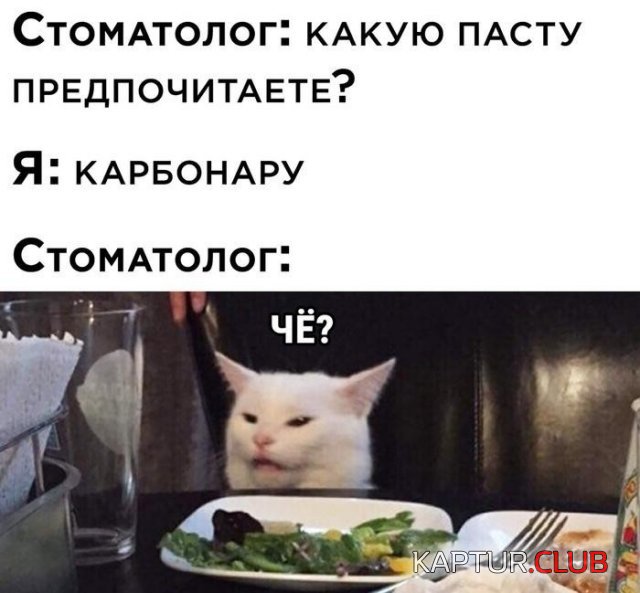 206079_9_trinixy_ru.jpg | Рено Каптур Клуб Россия | Форум KAPTUR.SU