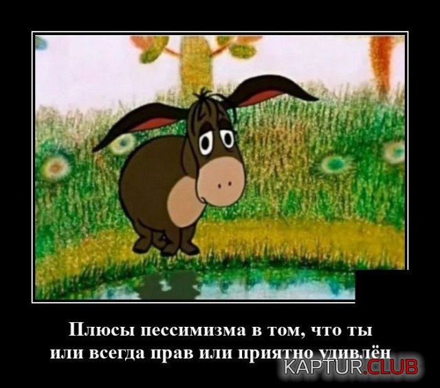 206204_7_trinixy_ru.jpg | Рено Каптур Клуб Россия | Форум KAPTUR.SU
