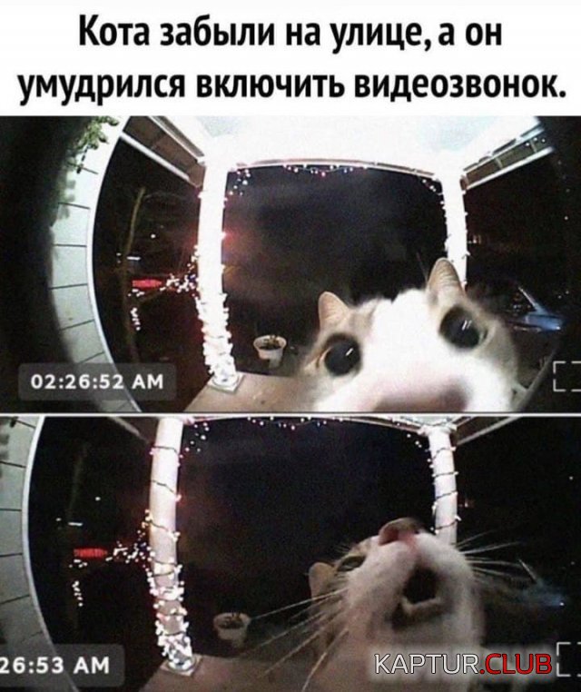 206364_4_trinixy_ru.jpg | Рено Каптур Клуб Россия | Форум KAPTUR.SU