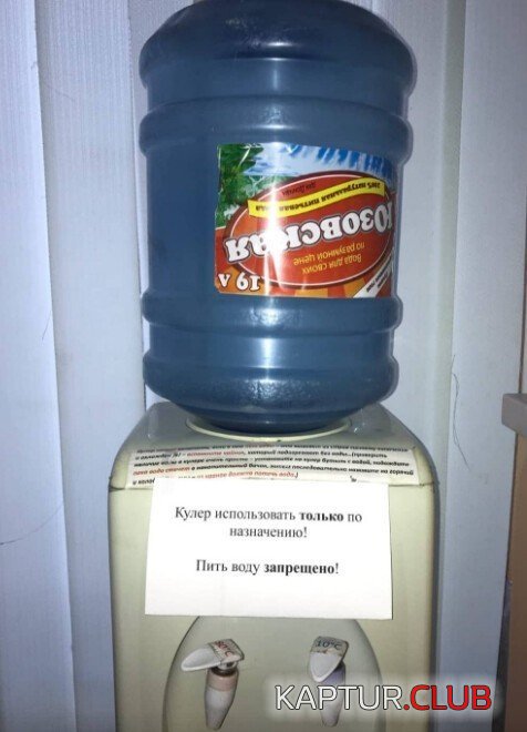 206473_8_trinixy_ru.jpeg | Рено Каптур Клуб Россия | Форум KAPTUR.SU