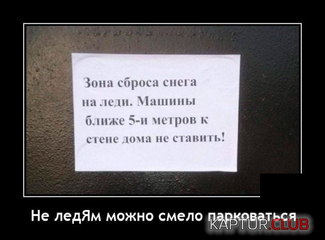206511_1_trinixy_ru.jpg | Рено Каптур Клуб Россия | Форум KAPTUR.SU