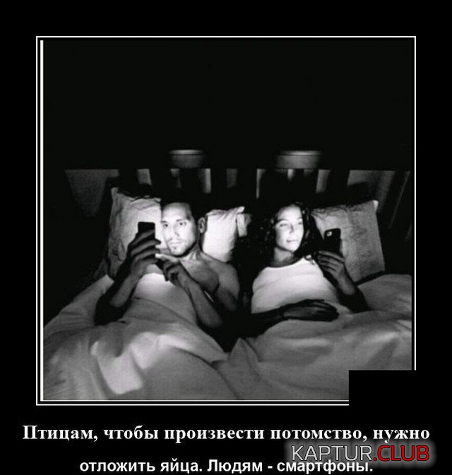 206511_3_trinixy_ru.jpg | Рено Каптур Клуб Россия | Форум KAPTUR.SU
