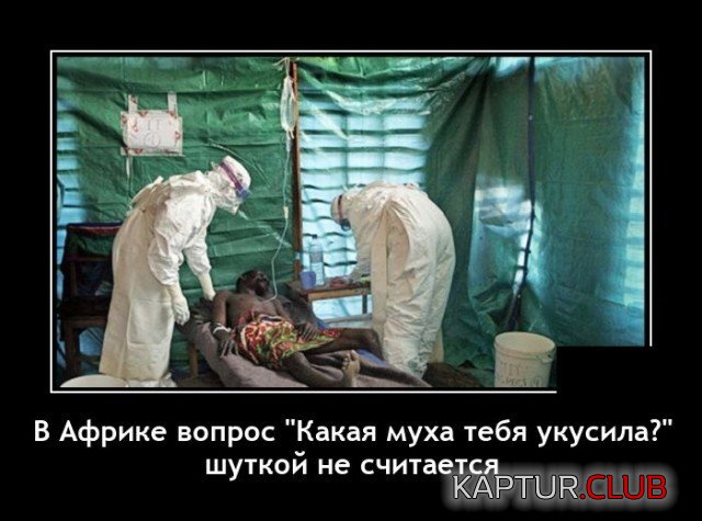 206574_18_trinixy_ru.jpg | Рено Каптур Клуб Россия | Форум KAPTUR.SU