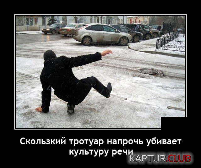 206629_16_trinixy_ru.jpg | Рено Каптур Клуб Россия | Форум KAPTUR.SU