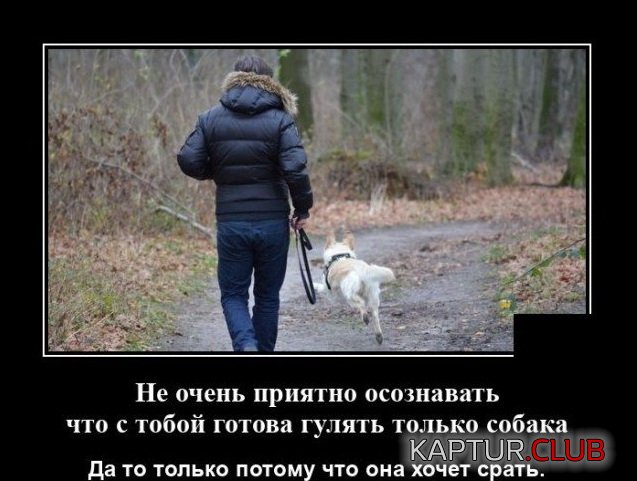 206629_1_trinixy_ru.jpg | Рено Каптур Клуб Россия | Форум KAPTUR.SU