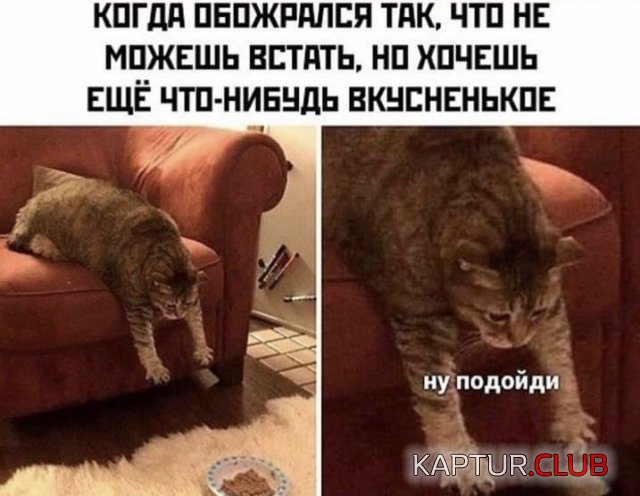 206840_8_trinixy_ru.jpg | Рено Каптур Клуб Россия | Форум KAPTUR.SU