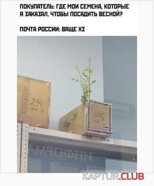 206858_3_trinixy_ru.jpg | Рено Каптур Клуб Россия | Форум KAPTUR.SU